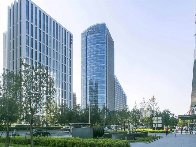 西藏葡萄苗价格